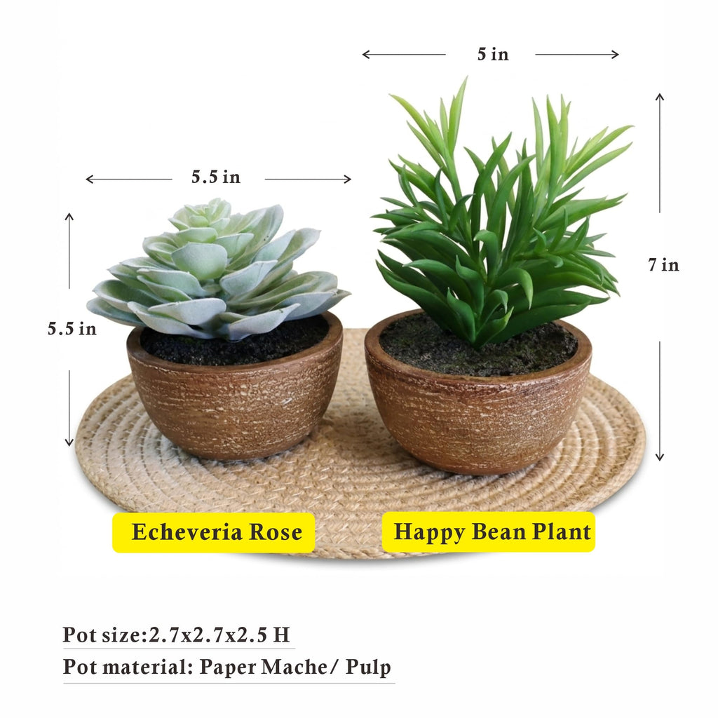 Artificial Succulents Plastic Artificial Green Plant, Fake Succulents Decoration (Set of 2 Succlents in Pots)