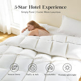 Feather Down Fiber Comforter Twin,Premium Ultra-Soft Breathable Comforter High Fill Power Grey Duvet