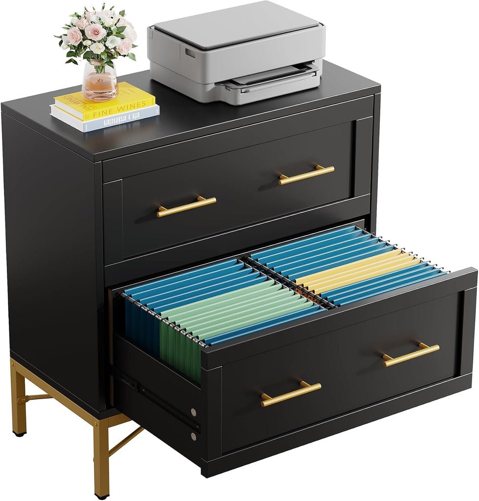 2 Drawer File Cabinet, Modern Wood Lateral Filing Cabinet for Letter/Legal/A4 Size, Large File Storage Cabinets