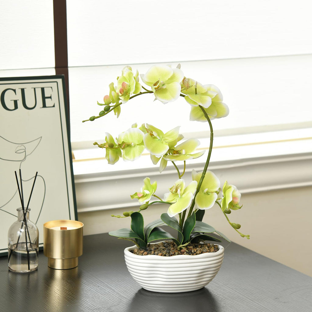 Large Silk Orchid in Wave Pot 19" Phalaenopsis Plant for Table, Apple Green