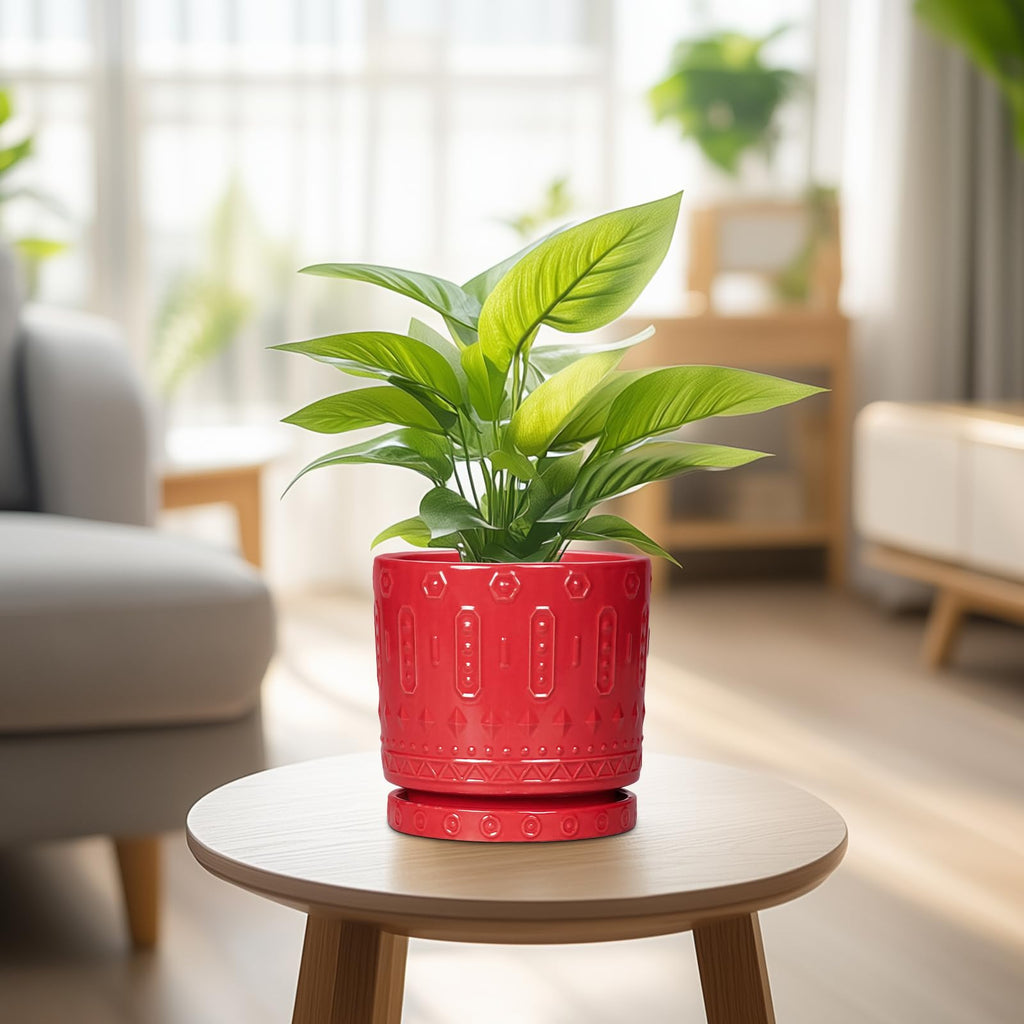 6 Inch Plant Pot, Ceramic Flower Pots for Indoor Outdoor Plants, Round Pots for Plants with Drainage Hole and Tray