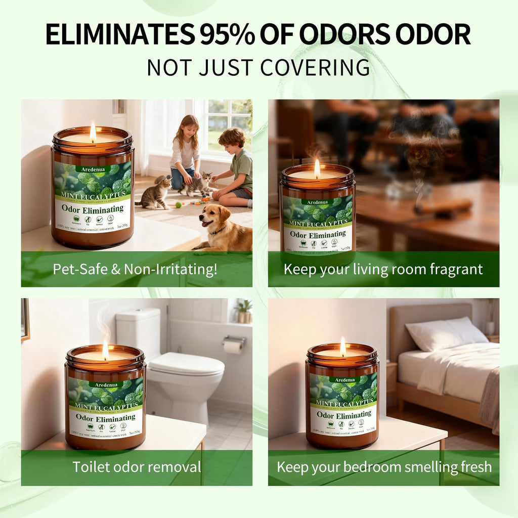 Mint Eucalyptus Odor Eliminating Candles, 7 oz Soy Scented Candle