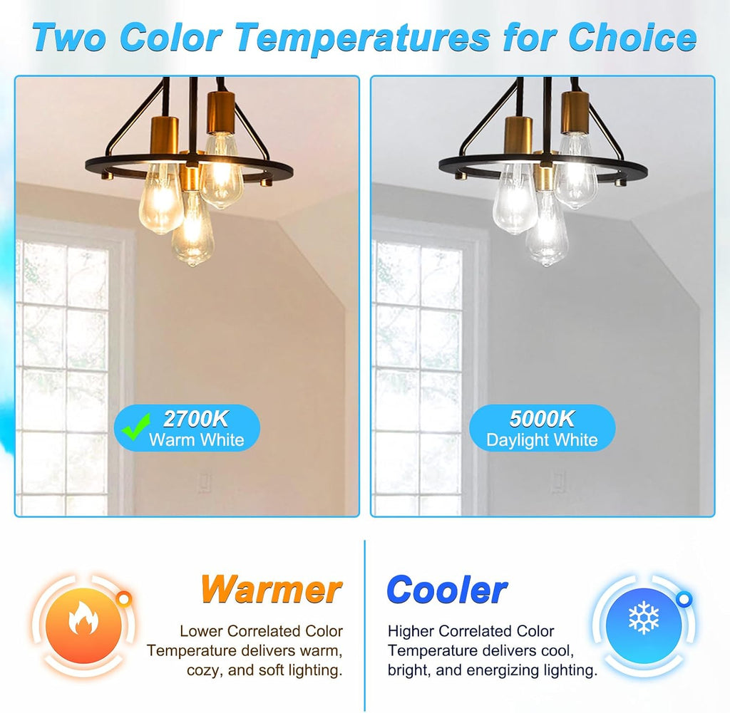 Vintage LED Edison Bulbs, 6W, Equivalent 60W, E26 Medium Base, Warm White 2700K, Non-Dimmable, ST58 Antique LED