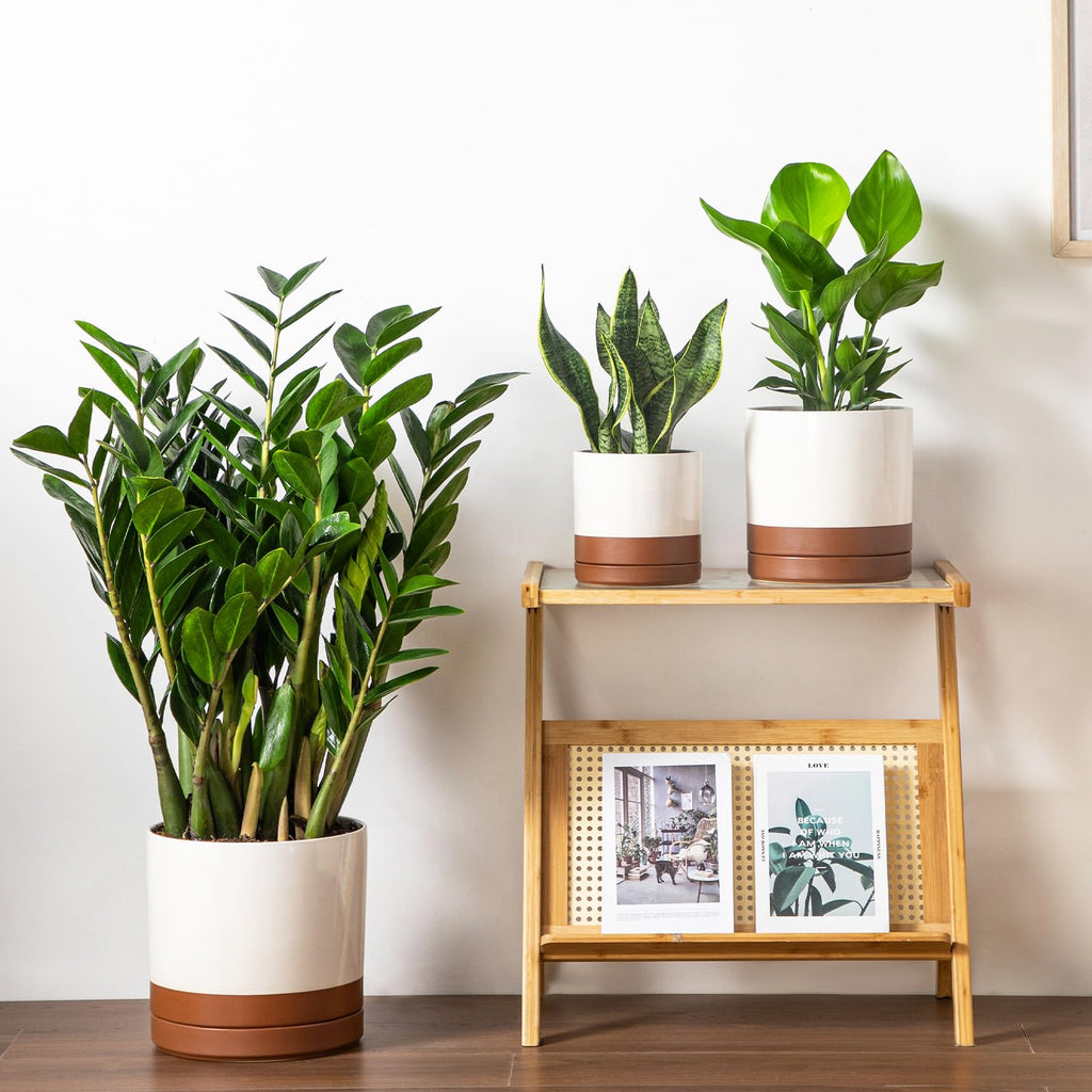Ceramic Pots for Plants, Plant Pots for Indoor Plants, 6.25+8.25+10.25 Inch Ceramic Planters, Flower Pots with