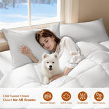 Canadian Luxury Goose Down Comforter, Twin