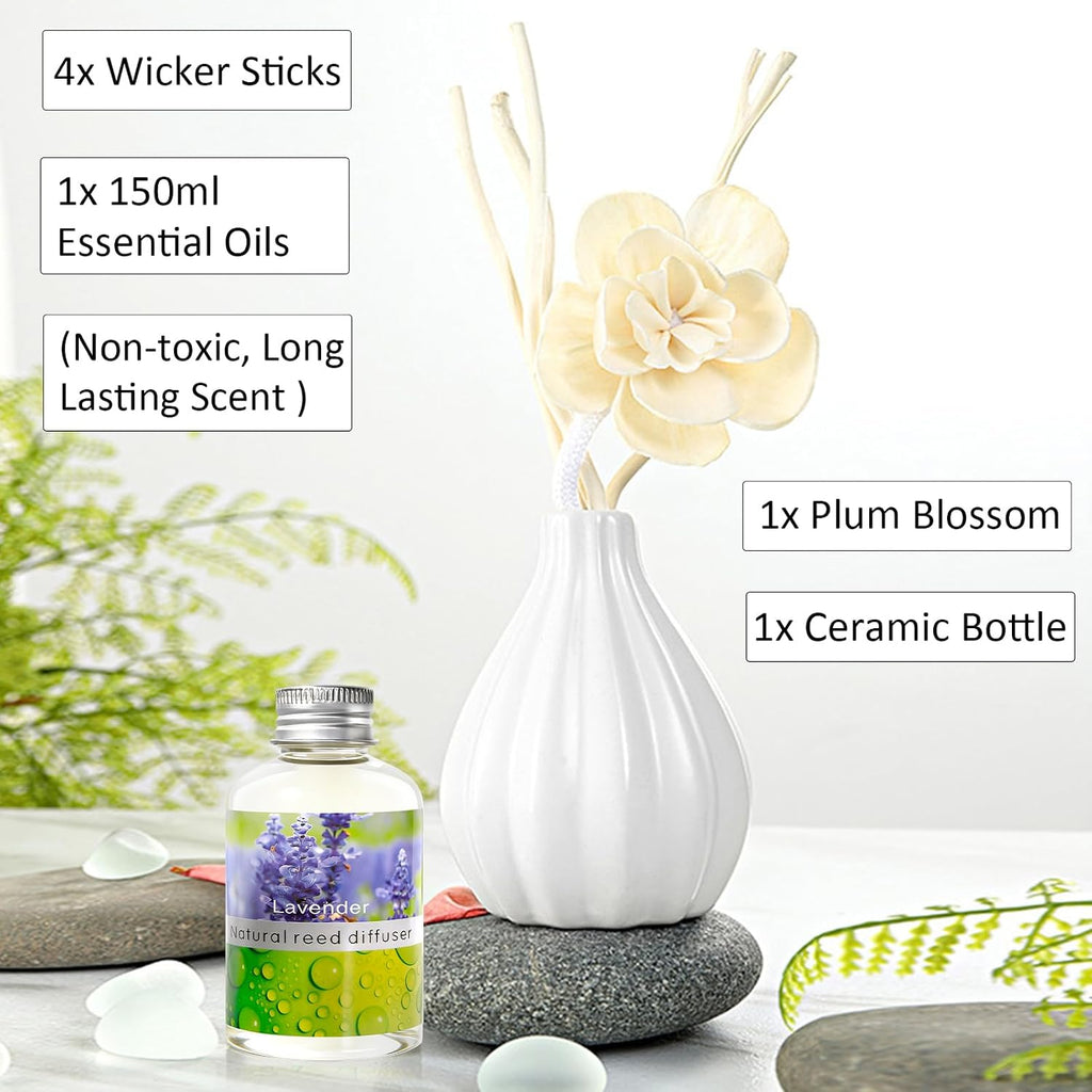 Reed Diffuser Set, Home Fragrance & Decorative Diffuser, Dried Flower Aromatherapy Oil Set, Oil Diffuser Sticks