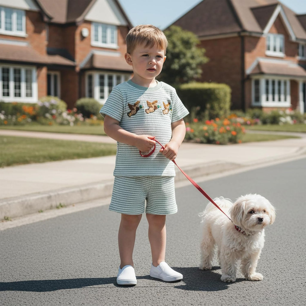 Toddler Baby Boy Girl Summer Clothes Embroidery Stripe T-shirt Tops Shorts Sets 6 12 Casual Outfit