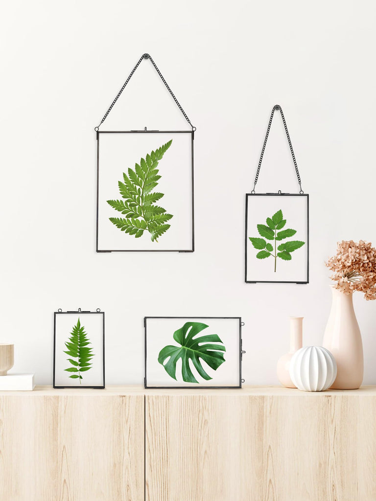 Hanging Pressed Flower Frames, Double Glass, Black, 8x10 Inches
