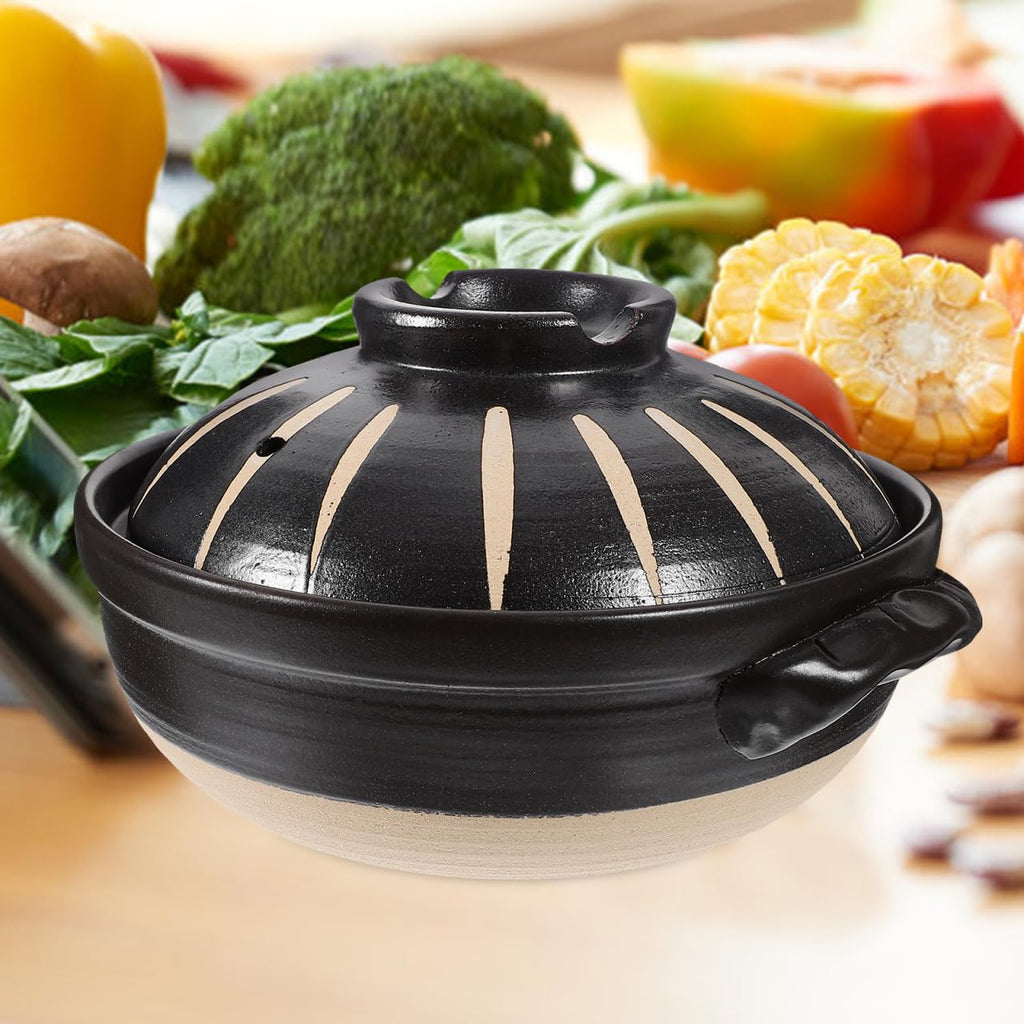 Japanese Donabe Ceramic Hot Pot: Casserole Earthenware Clay Pot Japanese Cooking Donabe Ceramic Casserole Pot Stock