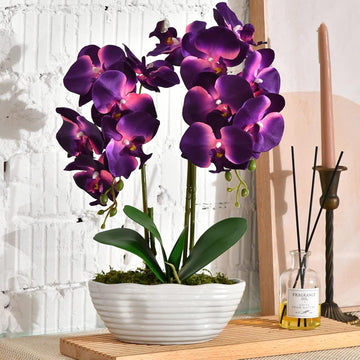 Large Artificial Orchid Arrangement in Oval Ribbed Ceramic Pot, Dark Purple