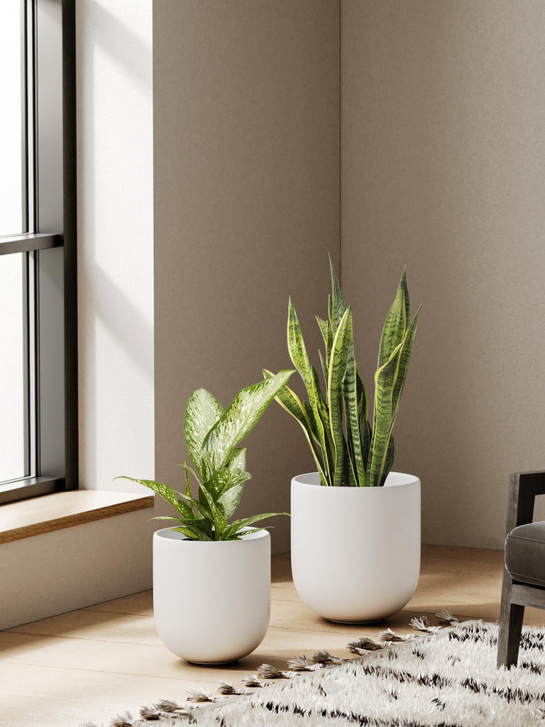 6, 8 & 10 Inch Ceramic Planter Set for Indoor Plants, White