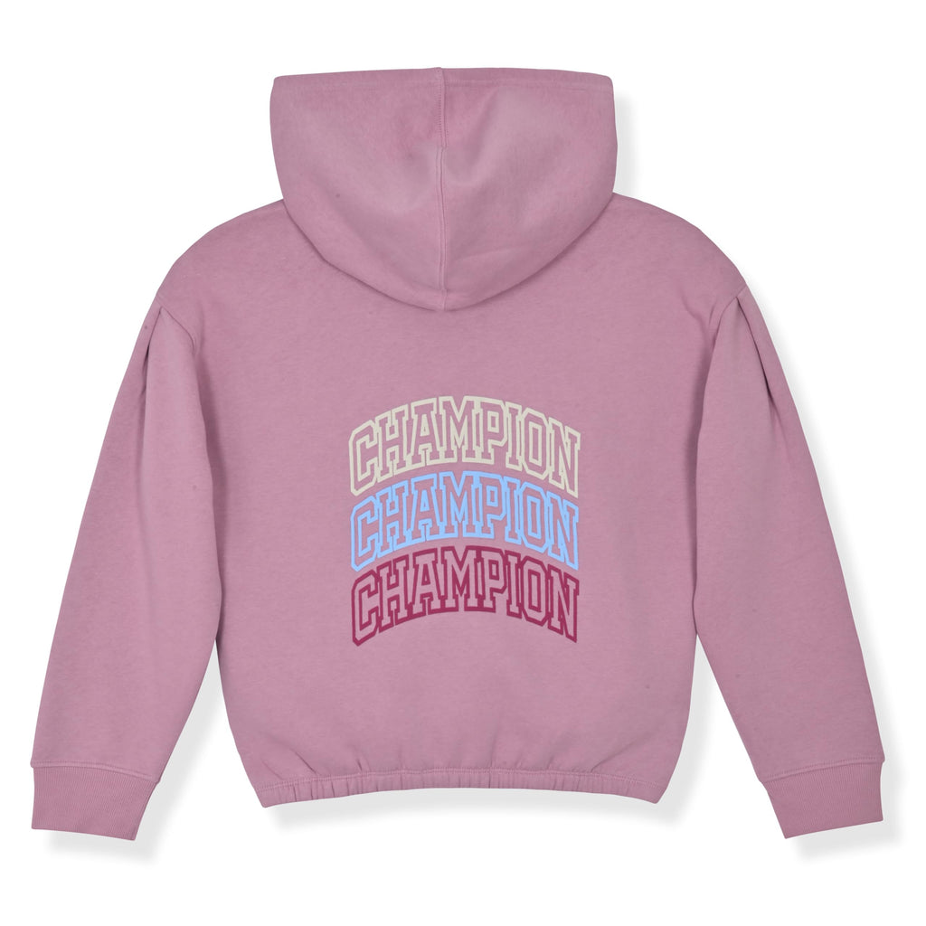 Girls' Piece Clothing Set, Fleece Zip Hoodie, Jogger Pants and T-Shirt