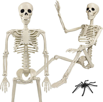 36" Skeleton Halloween Decorations, 3ft Life Size Human Skeleton with Full Body Movable Posable Joints Skeleton
