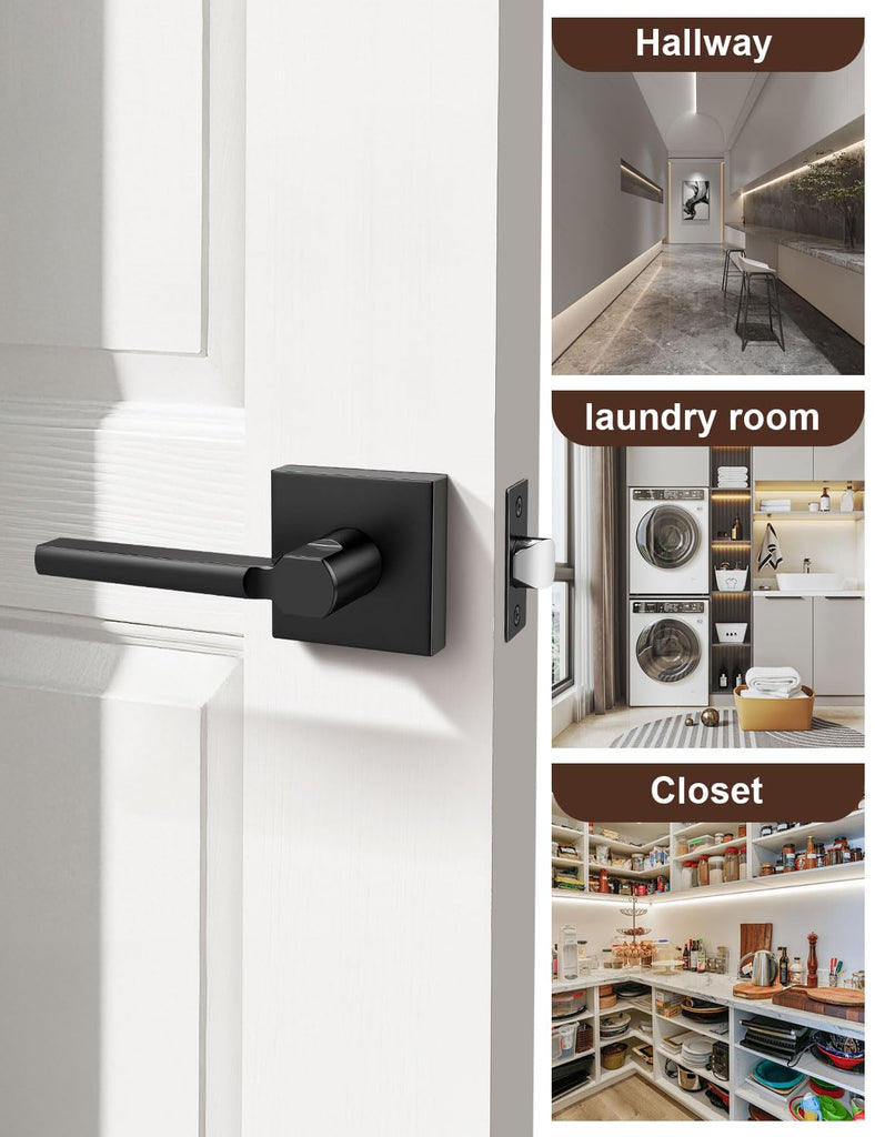Matte Black Interior Passage Door Handles 1 Pack for Closet No Lock