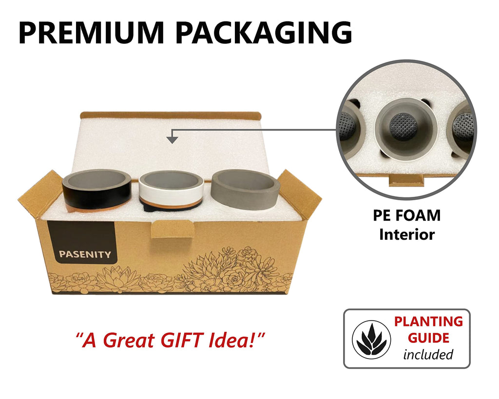 Hand Painted Indoor Plant Pots, Set of 3 Modern Cement Succulent Pots with Drainage, Best Planters for Cactus, Herbs