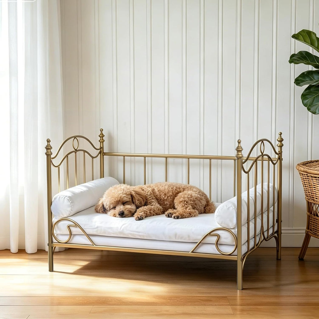 Pet Bed, Dog Bed with Metal Frame and Detached White Velvet Cushion with 2 Pillow for Small Dog