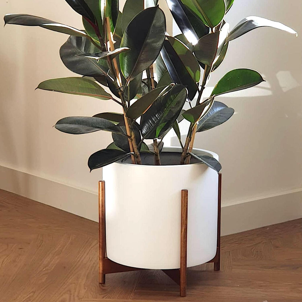 Mid Century Plant Stands for Indoor Planters, Acacia, 14.9 Inch | Plug In Design, Holds 200 lbs, Two High Options