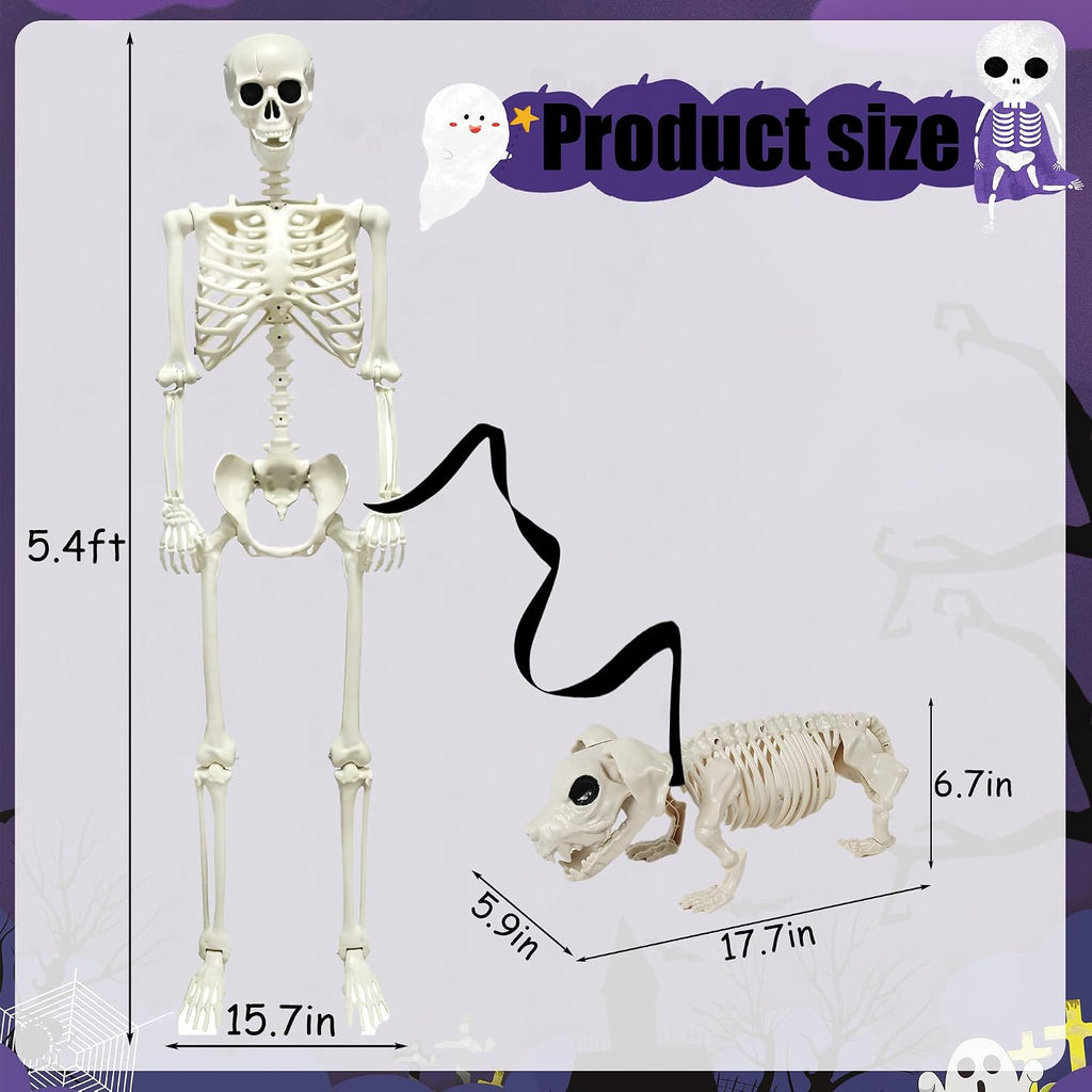 5.4FT Halloween Skeletons Decoration, Posable Life Full Size Skeleton with Dog Skeleton, Realistic Plastic Human - Set of 3