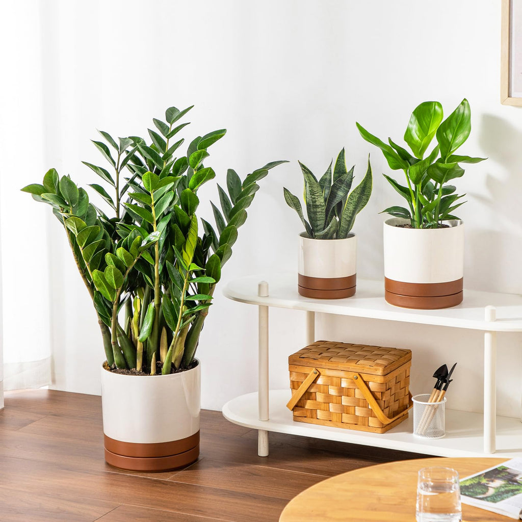 Ceramic Pots for Plants, Plant Pots for Indoor Plants, 6.25+8.25+10.25 Inch Ceramic Planters, Flower Pots with