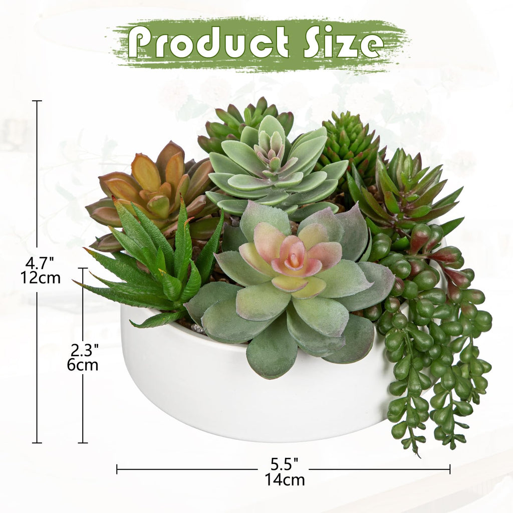 Artificial Succulent Plants in Pot 5.5 Inch Fake Succulents Arrangement