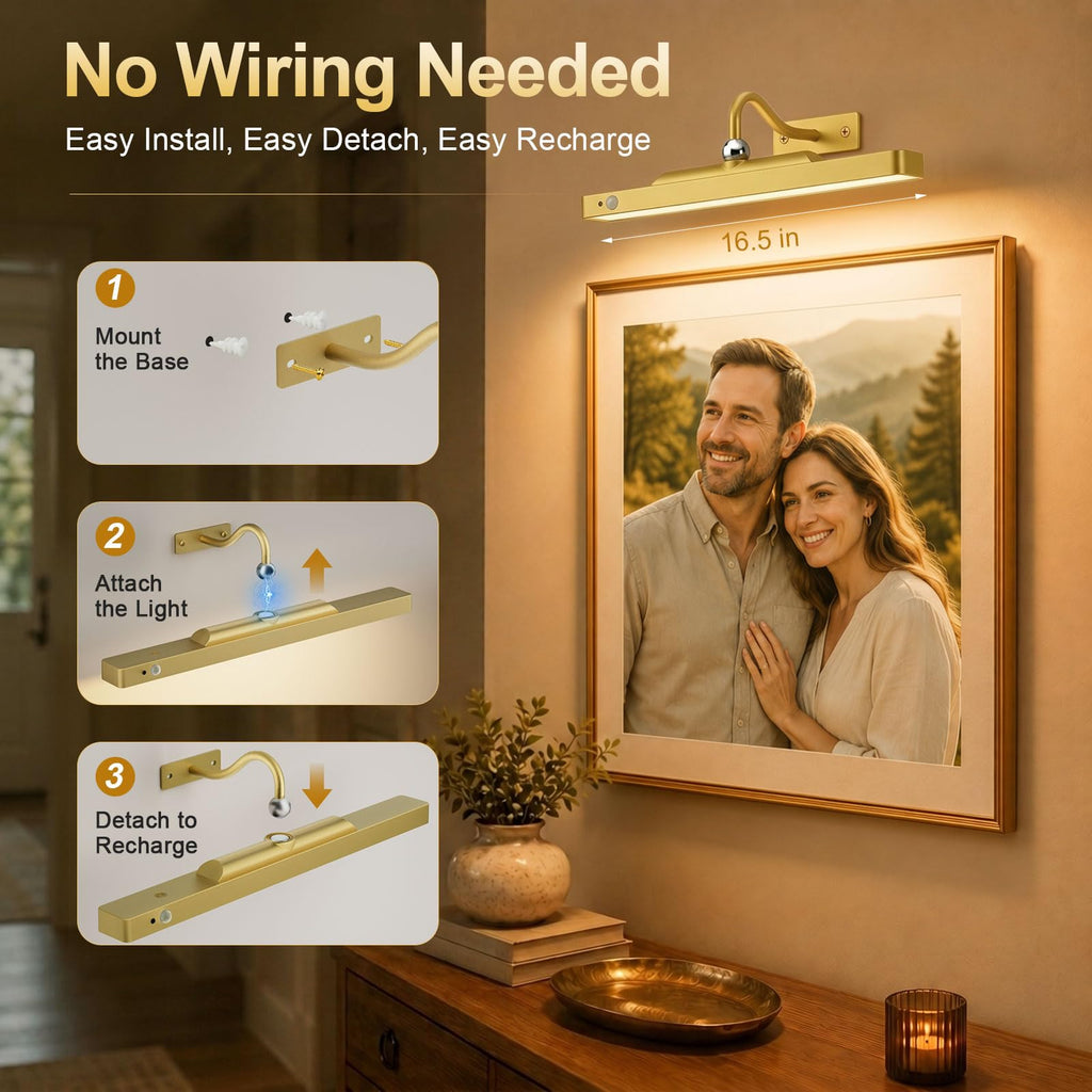 Picture Lights for Wall, Rechargeable Motion Sensor Art Light