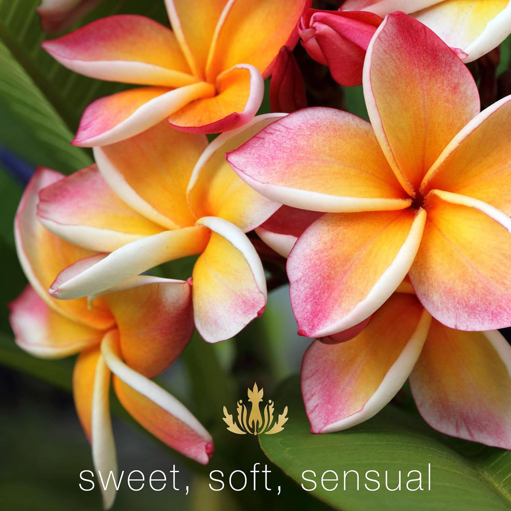 Home Ambiance Gift Box, Plumeria, Hawaiian Aromatherapy Gift Set with Reed Diffuser, Ambiance Mist + Soy Candle