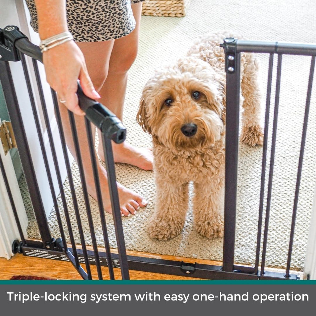 Windsor Arch Hold-Open & Auto-Close Pressure-Mount Pet Gate: Heavy-Duty Steel Gate 28.5in Tall Comes with Two 5in