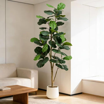 Artificial Fiddle Leaf Fig Tree 6FT, 72 Inch Tall Faux Ficus Lyrata Fake Floor Plant with White Planter & Pebbles