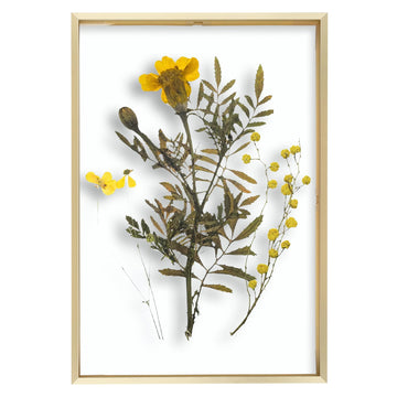 12x18 Gold Aluminum Floating Picture Frame Real Glass