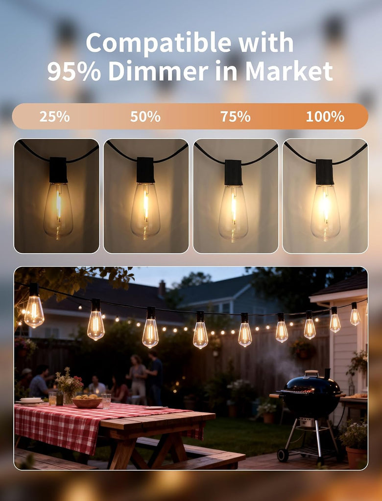 Edison E17 LED Bulbs, ST40 0.6W Shatterproof Replacement Bulbs