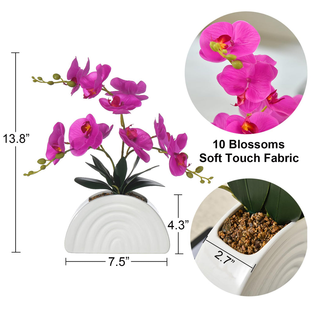 Fuchsia Silk Orchid Plant in White Rainbow Pot for Table Décor