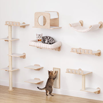 9-in-1 Cat Wall Shelves for Large Cats, Large Cat Bed & Hammock