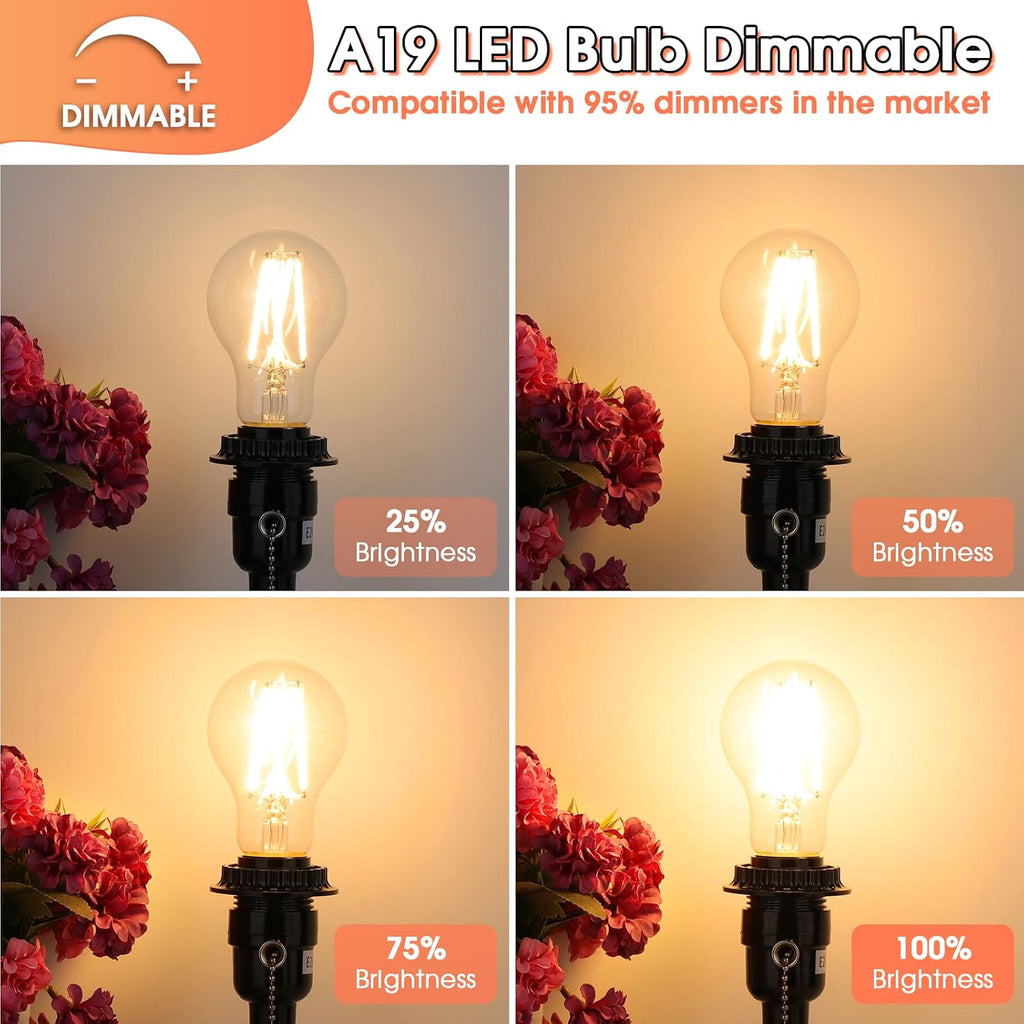 60W Equivalent LED Edison Bulb Dimmable 850LM Warm White 2700K