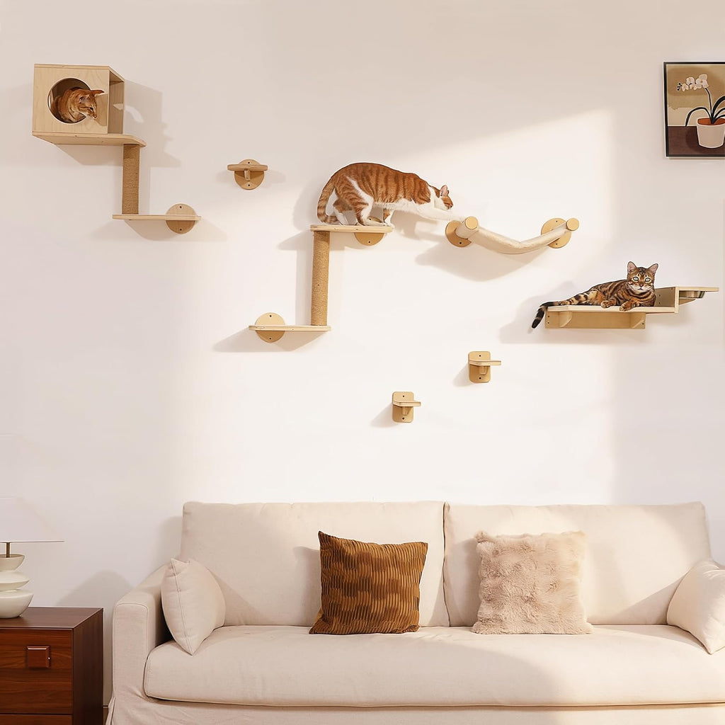 Cat Wall Shelves, Food Station with 2 Steps