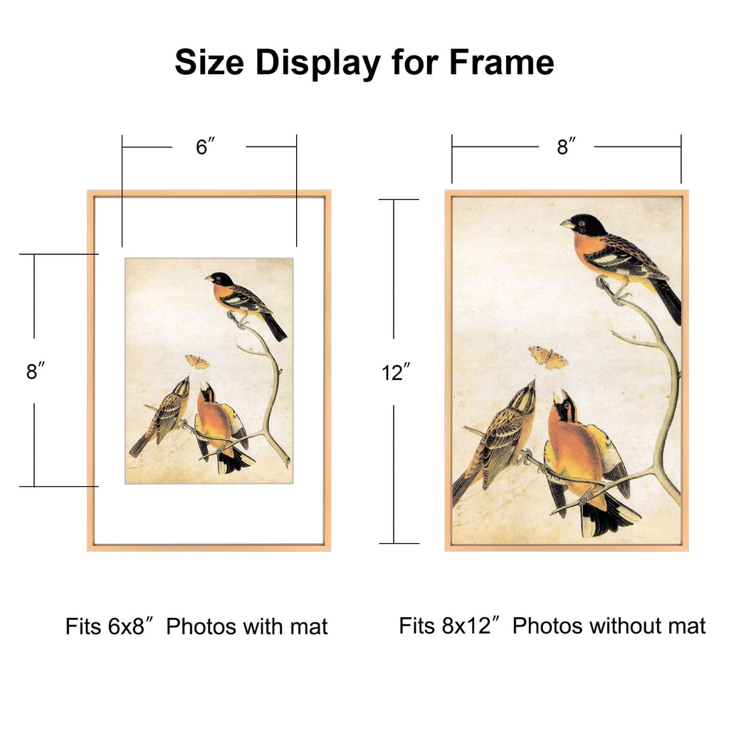 8x12 Gold Aluminum Photo frames 3 Pack HD Glass Mat 6x8 Wall Only
