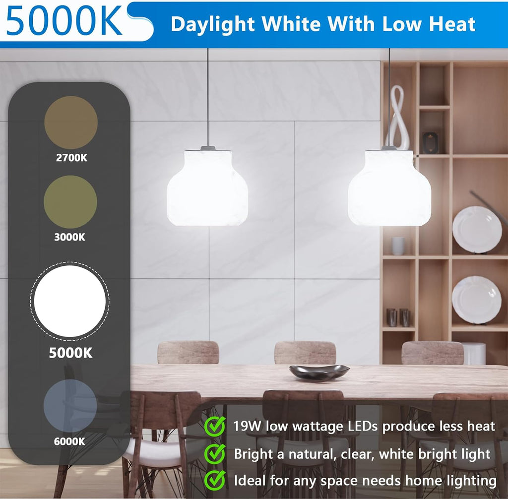 A21 LED Light Bulbs, 150W Equivalent 5000K Daylight White
