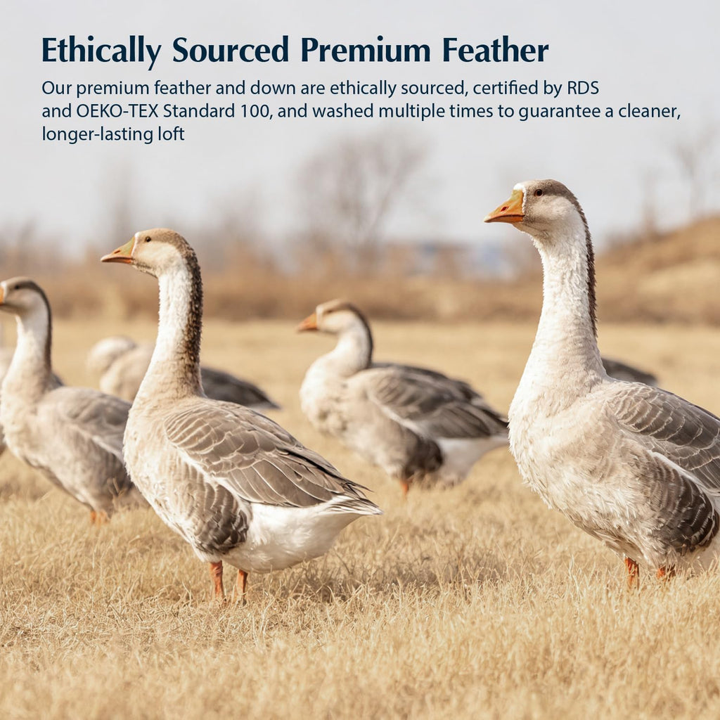Goose Feather Down Comforters 106"x90", Breathable Duvet Insert, Noiseless Shell, Sewn-Through
