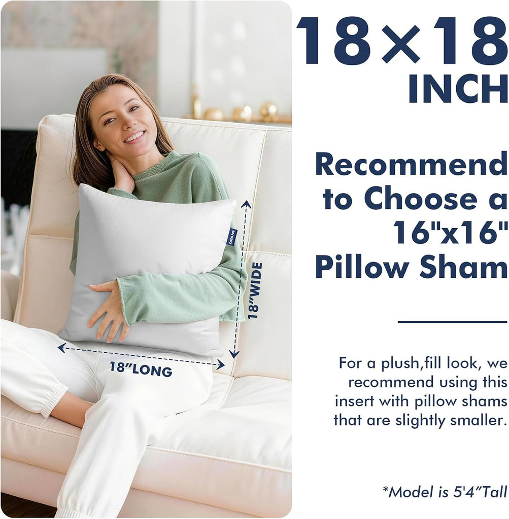 18x18 Pillow Inserts, Down Alternative Throw Pillows - Set of 2