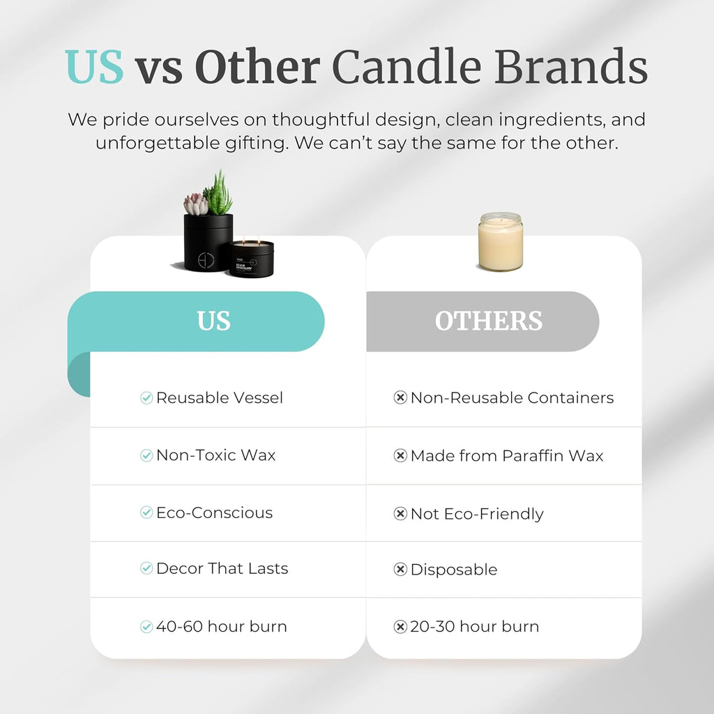 Hidden Candle - Beach Bungalow | Marine, Bergamot & Cedarwood Scented Candle with Faux Succulent | 10.6oz Soy Wax - Set of 106