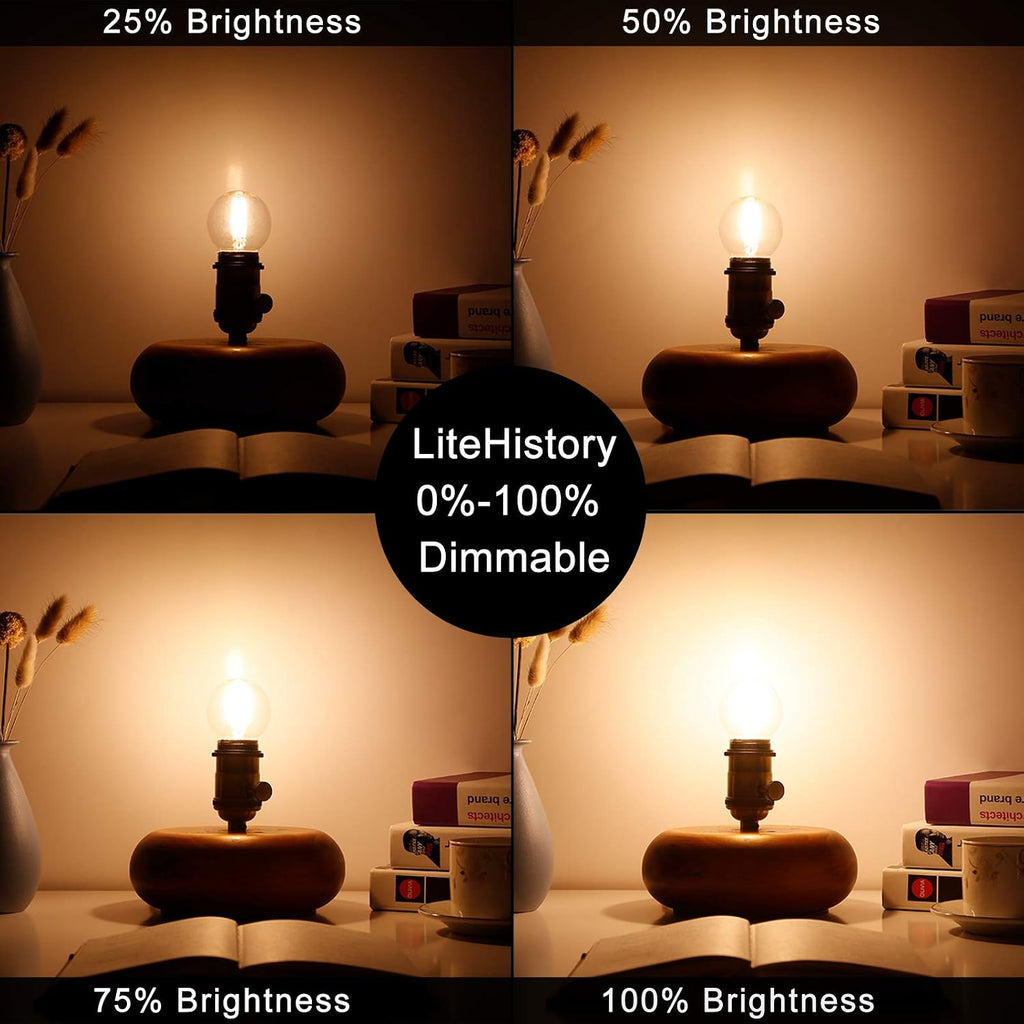 G16.5 Edison Bulbs,E26 Led Bulb 60 watt,Warm White 2700K,Clear