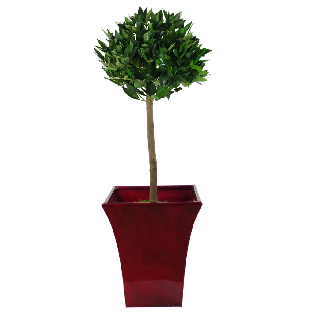 Pair of Plain Stem Artificial Topiary Bay Laurel Ball Trees, Green, 120cm (4ft)