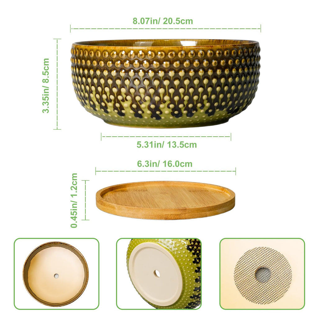 Bonsai Pots 8 Inch - Ceramic Planter for Indoor Plants, Succulent Pots with Drainage Hole and Plant Tray, Modern