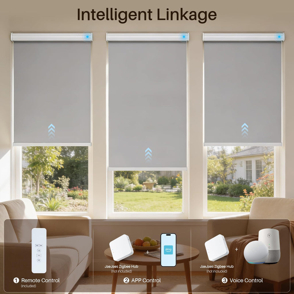 Motorized Roller Shades with Remote, Cordless Automatic Window Shades, Compatible with Alexa and Google Home(Grey, 24"