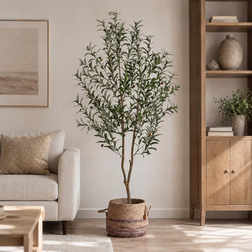 6FT Artificial Olive Tree Tall Indoor Faux Olive Trees with Natural Wood Trunk and Lifelike Fruits Black Pot