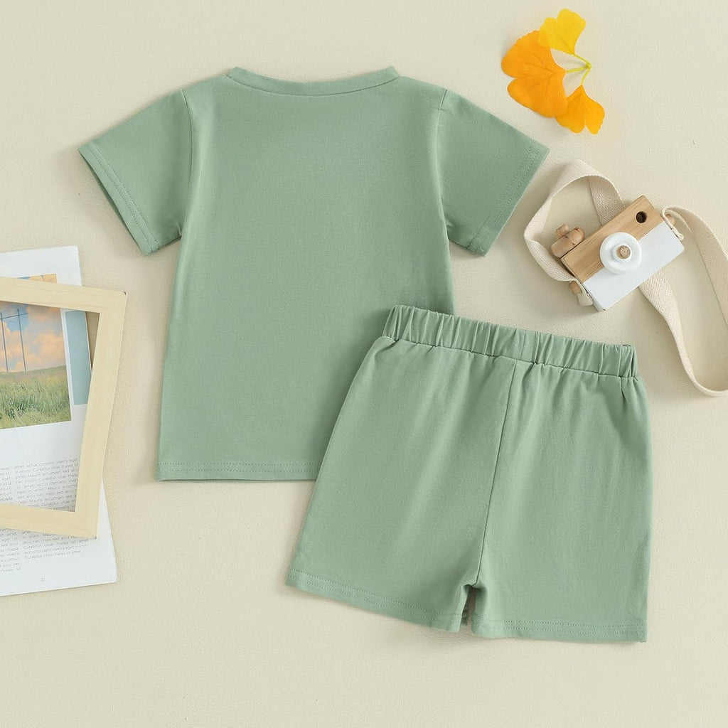 Baby and Toddler Boy Girl Big Brother Little Sister Matching Outfits Short Sleeve T Shirt Shorts Summer Clothes