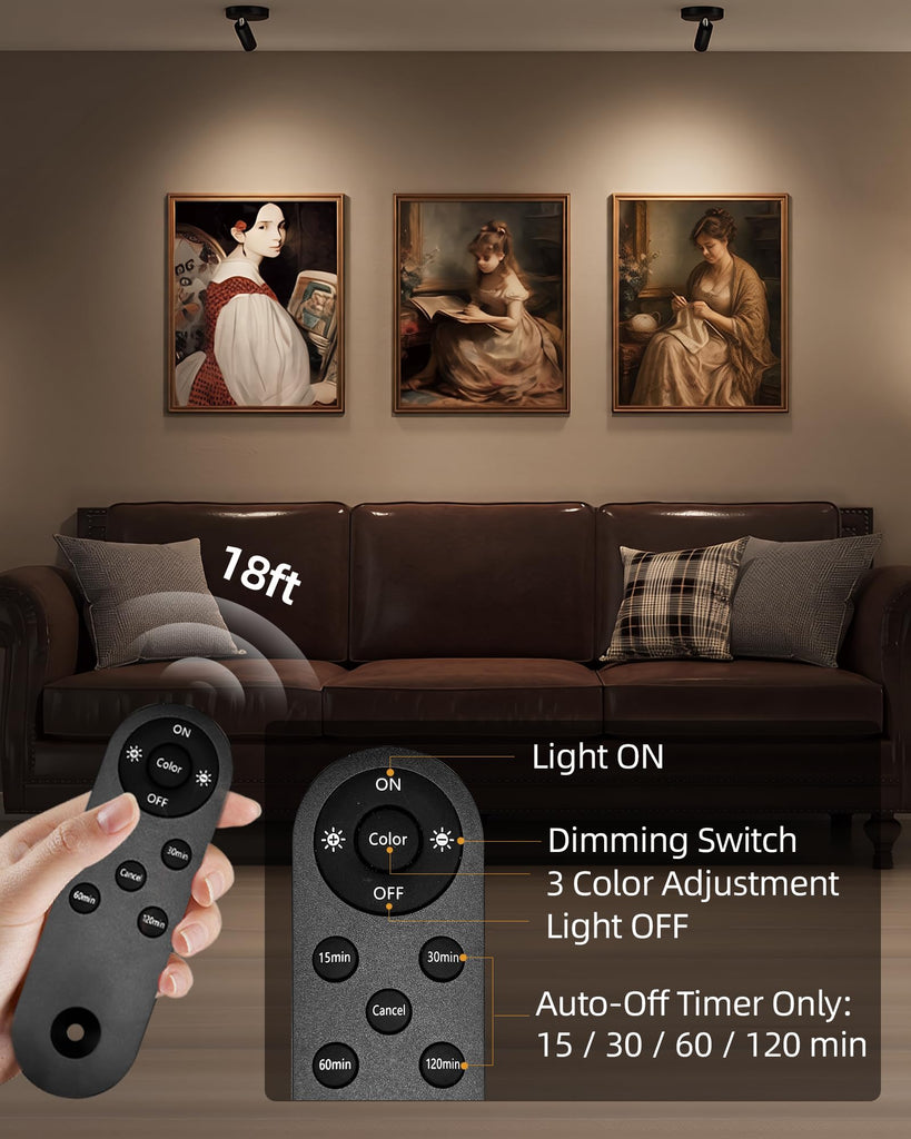 Indoor Spotlights, Picture Lights for Wall, Plant Up Lights