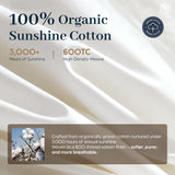 Goose Down Fiber Comforter King - All-Season Hotel Quality Duvet Insert, High Fill Power, Ultra Soft