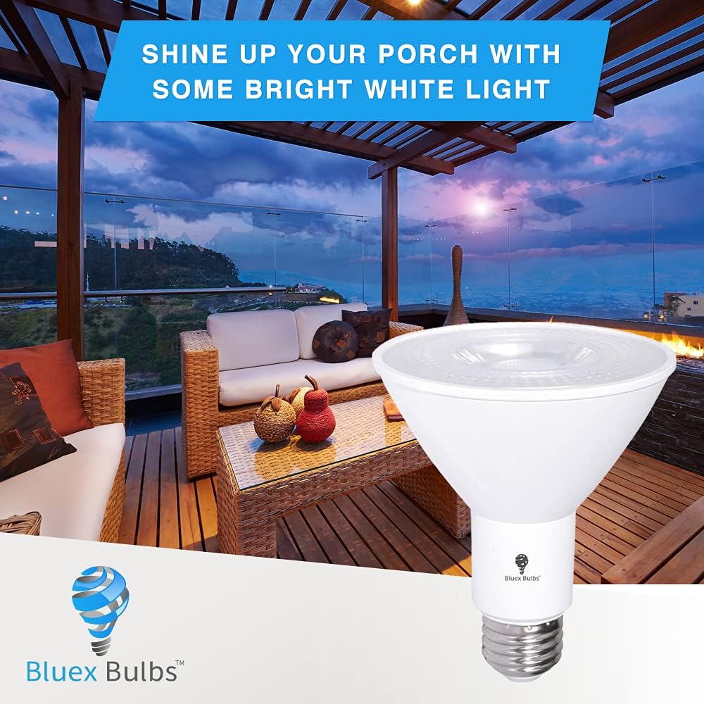 10 Pack PAR30 Outdoor LED Flood Light Bulb 12W 100 Watt Equivalent 900 Lumens Dimmable Waterproof E26 5000K Daylight