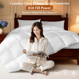 Canadian Luxury Goose Down Comforter, Twin
