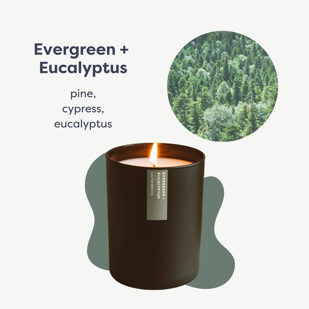 Evergreen & Eucalyptus Scented Candle - 75 Hour Burn